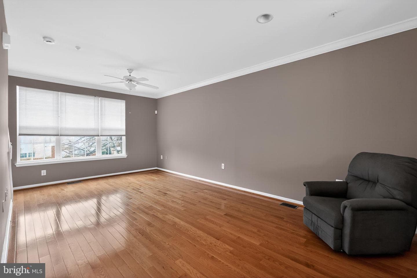21867 Goodwood Terrace photo 4