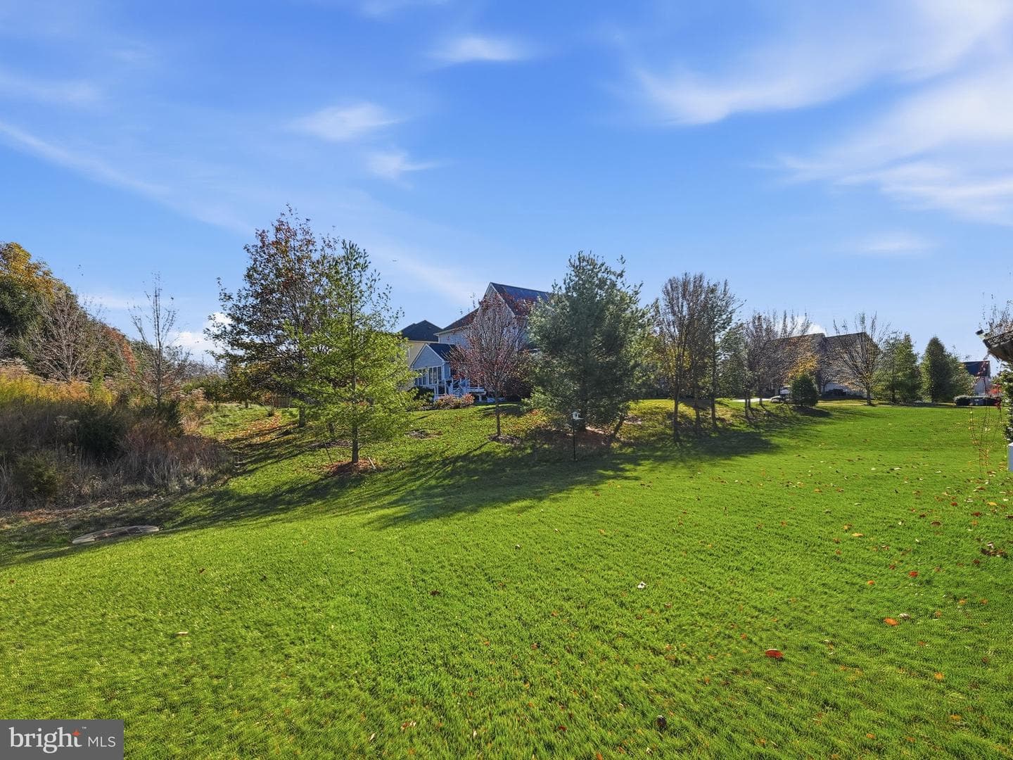 24282 Misty Dew Place photo 49