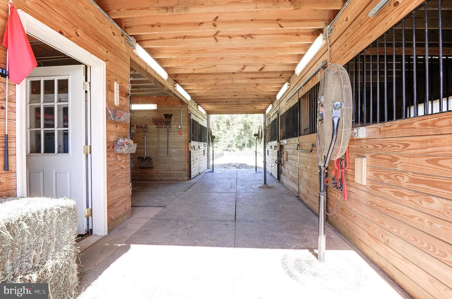 42046 Lamz Place photo 44