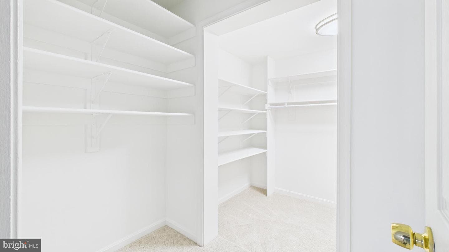 43128 Fling Court photo 69