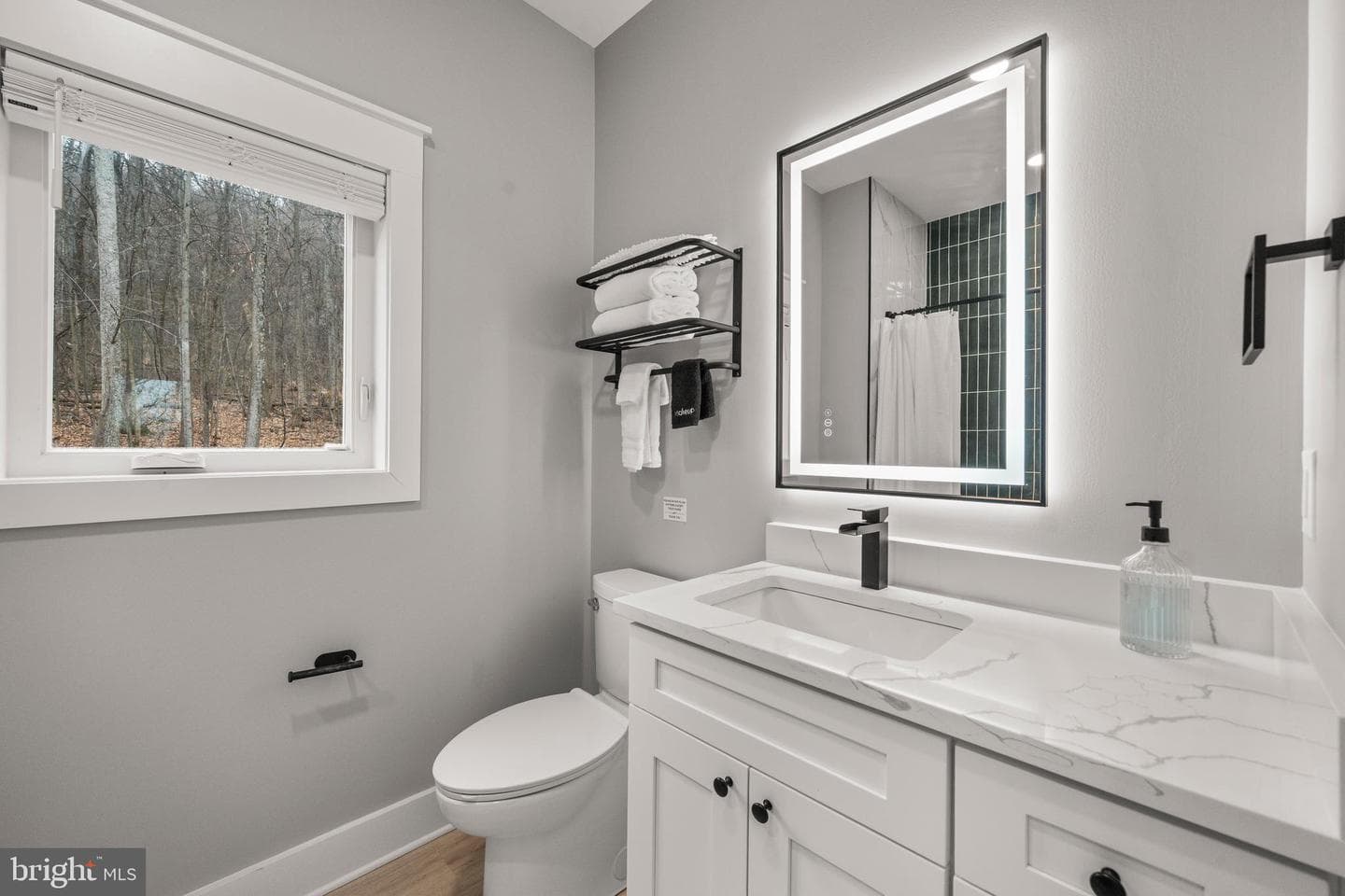 13537 Hanging Rock Lane photo 20