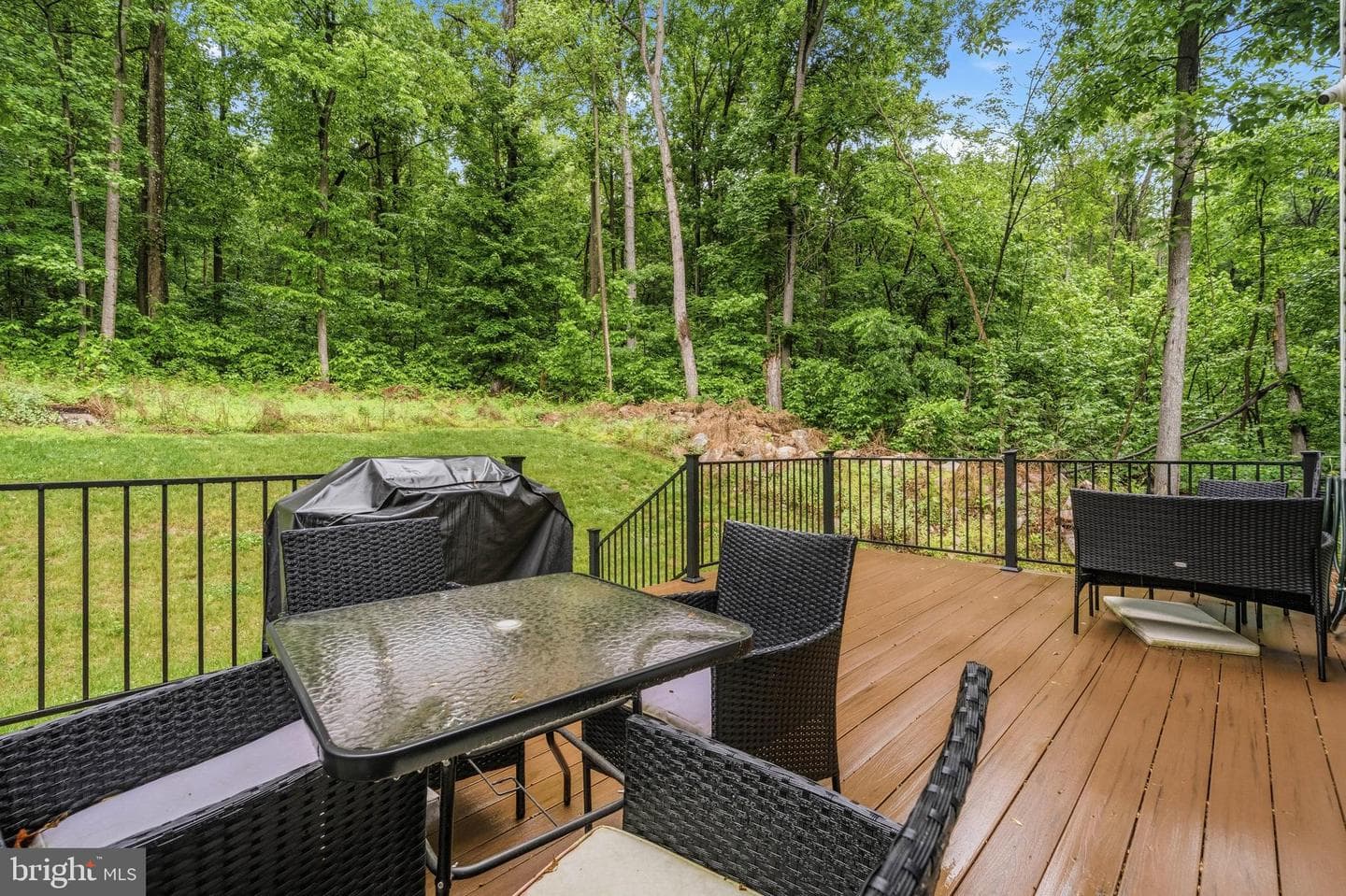 13537 Hanging Rock Lane photo 29