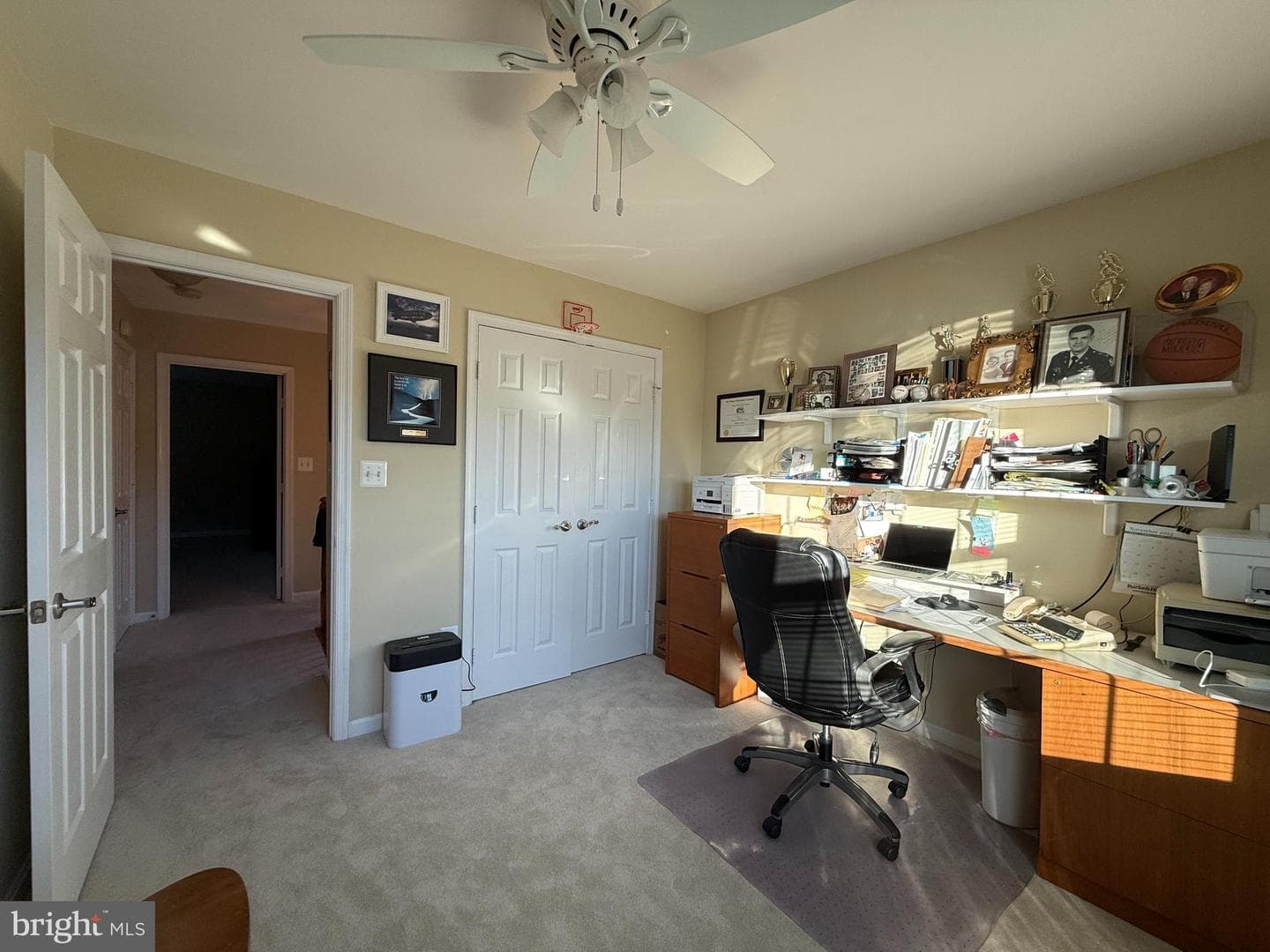 47501 Sharpskin Island Square photo 39