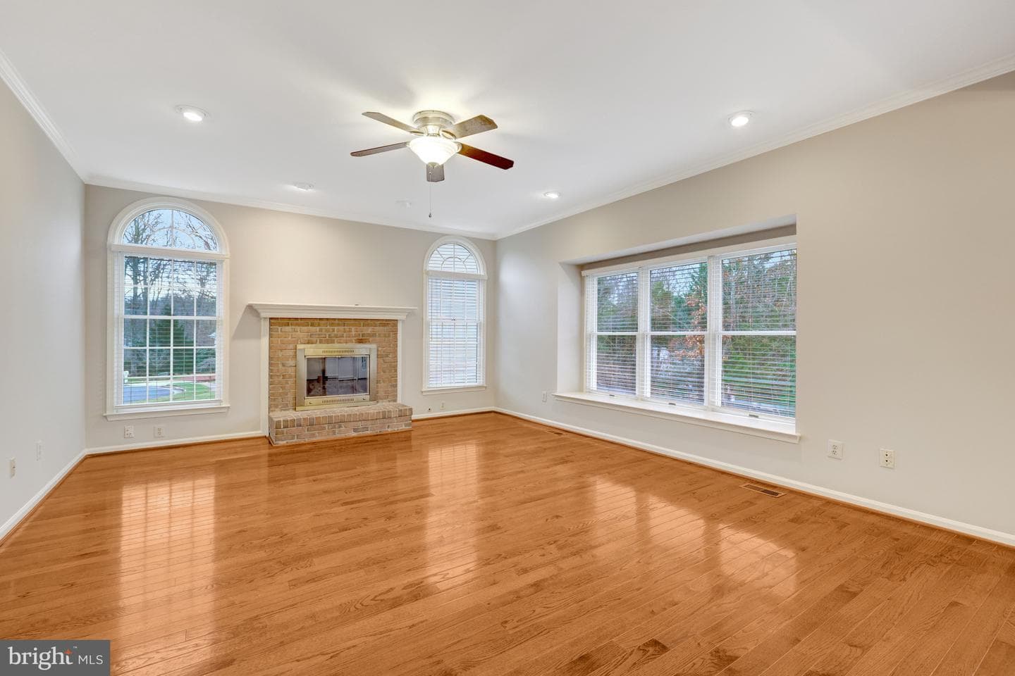47203 Brasswood Place photo 18