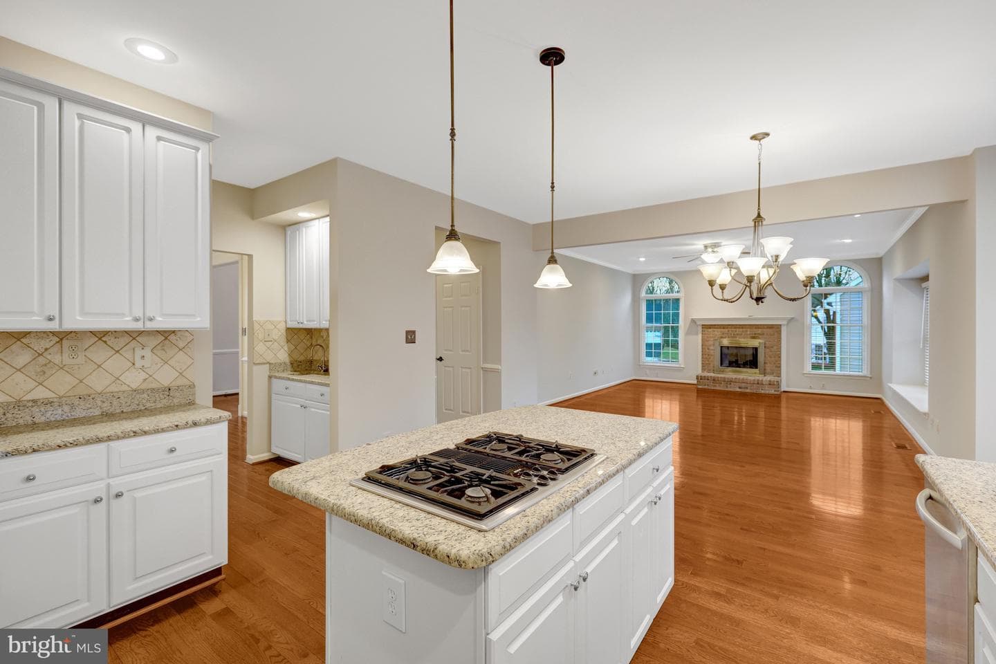 47203 Brasswood Place photo 23