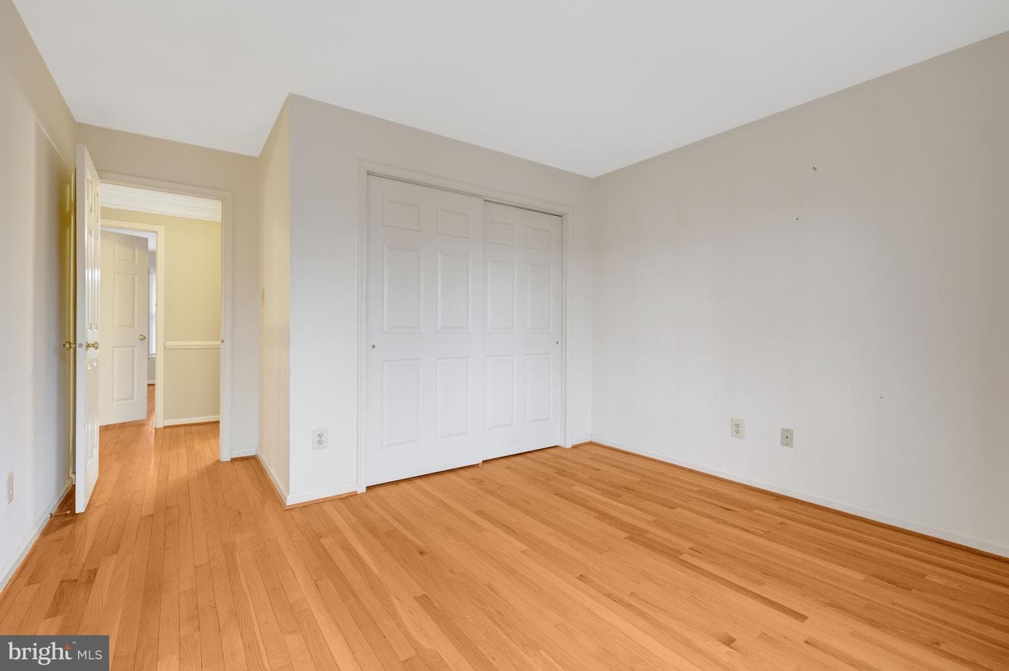 47203 Brasswood Place photo 47
