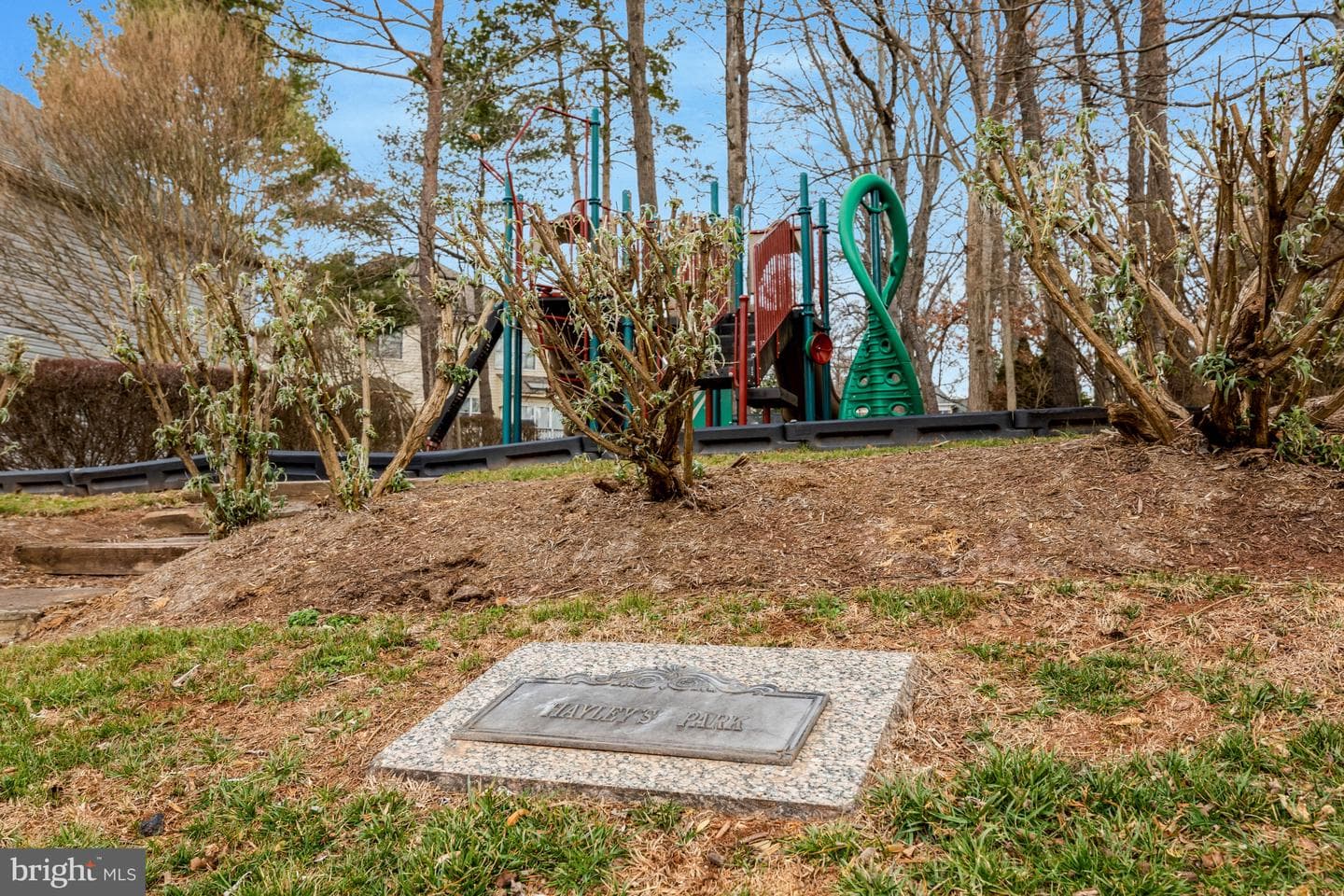 47203 Brasswood Place photo 65