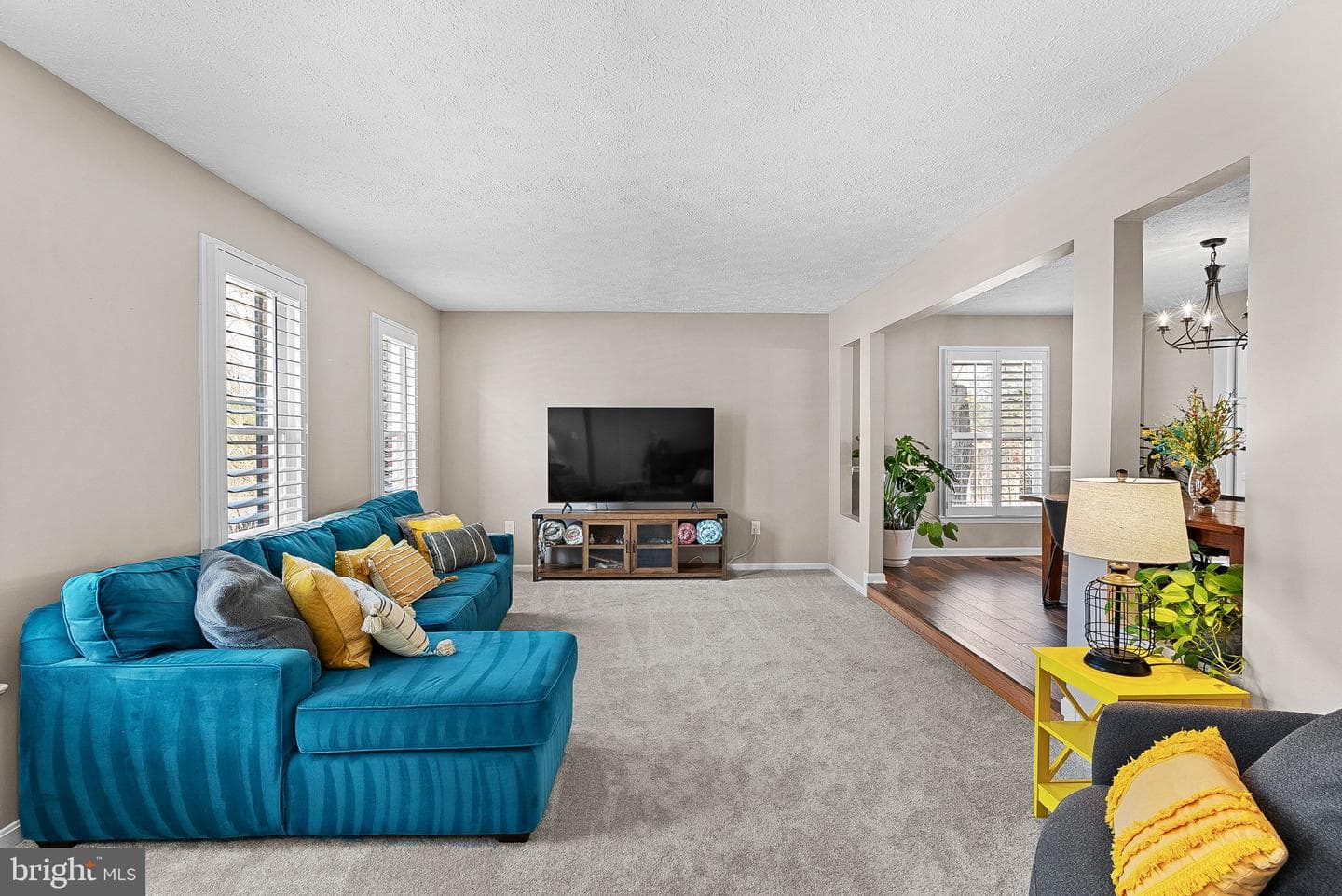 21 Lipscomb Court photo 13