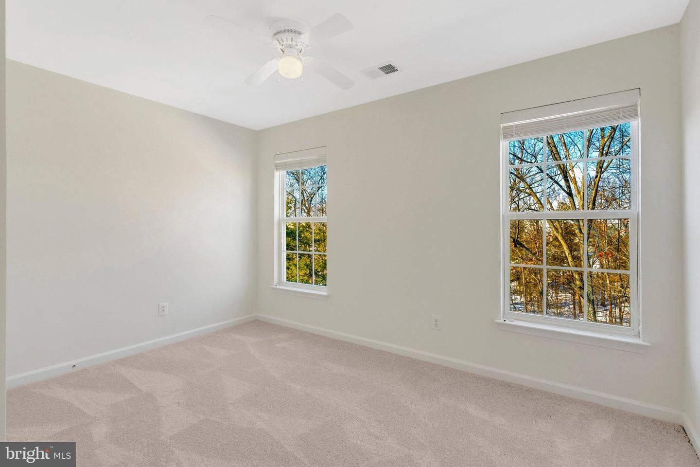 45768 Winding Branch Terrace photo 23