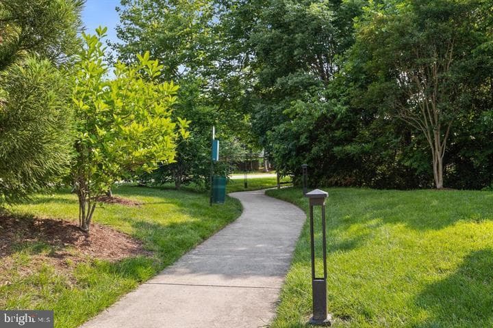 45768 Winding Branch Terrace photo 29