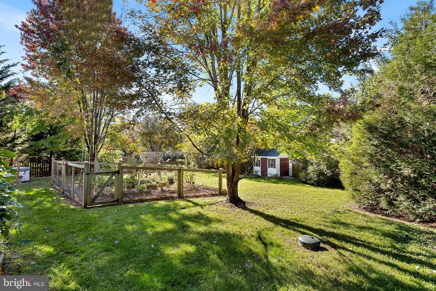 917 Towering Oak Court photo 56