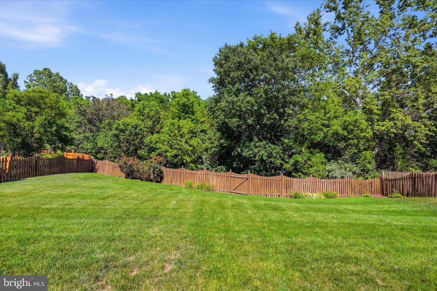 22806 Oatlands Grove Place photo 61