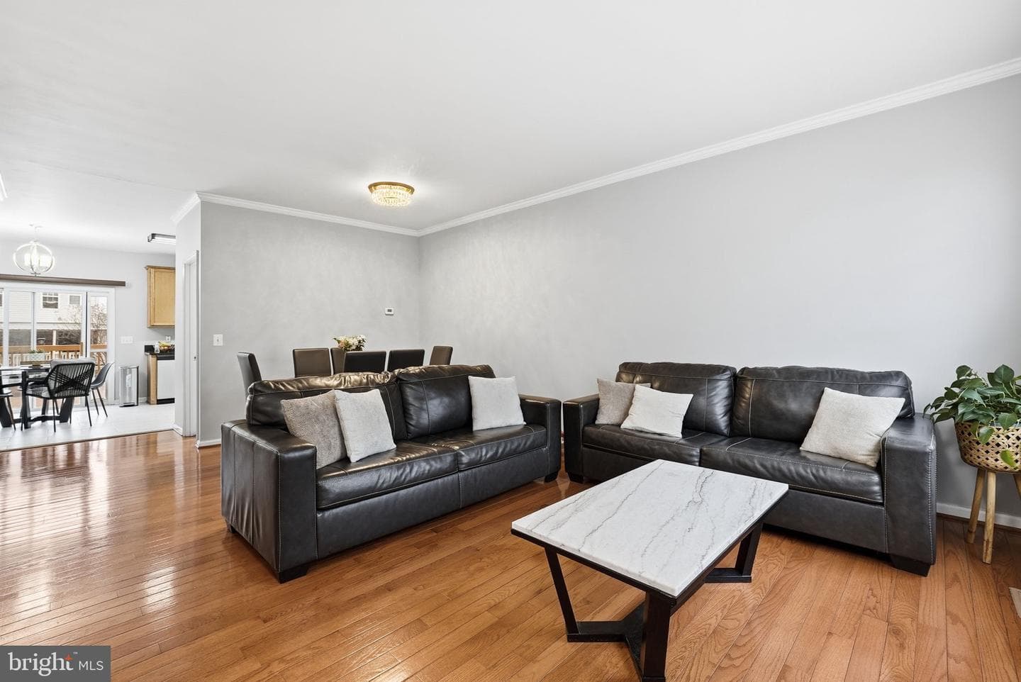 432 Andromeda Terrace NE photo 2
