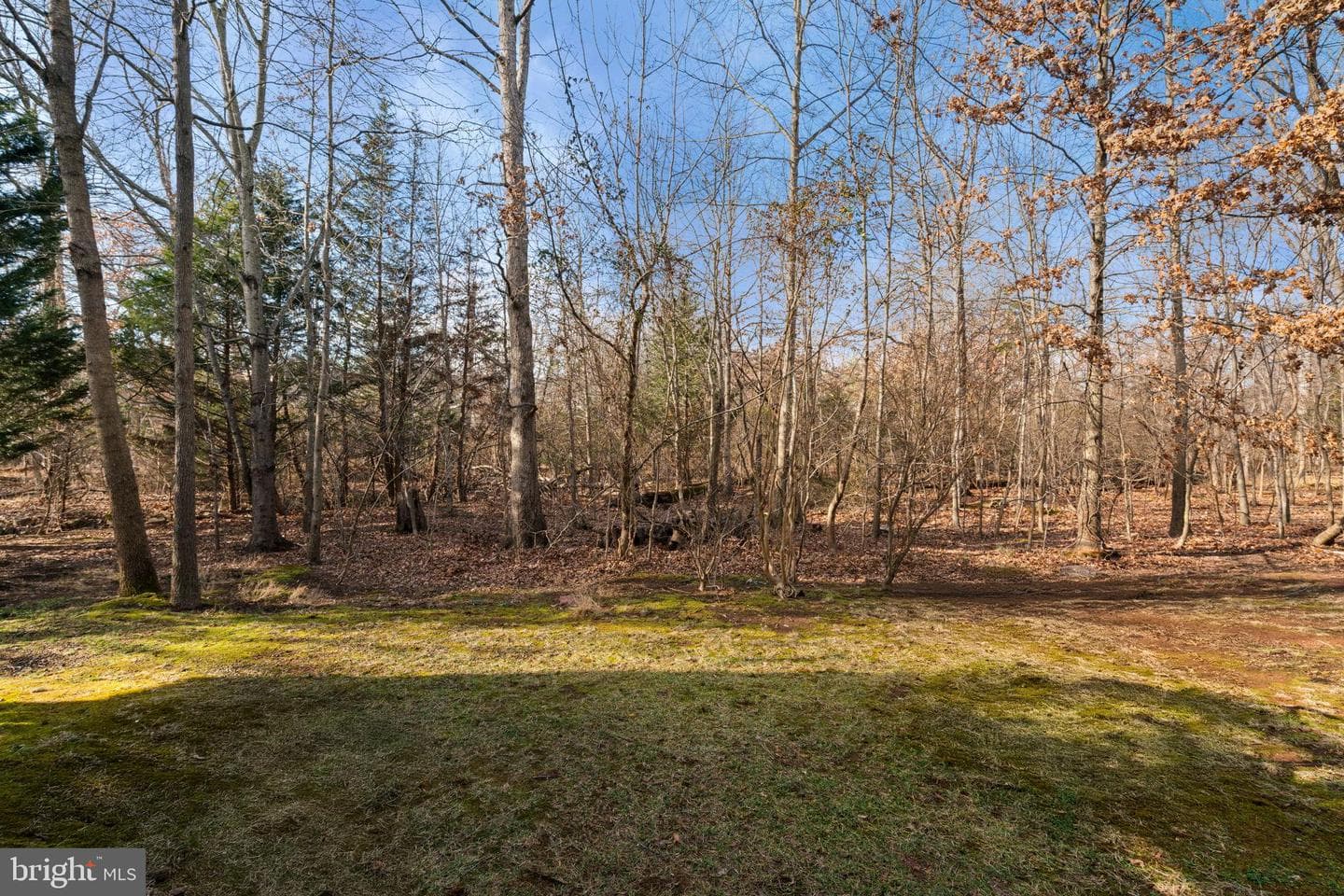 44424 Livonia Terrace photo 40