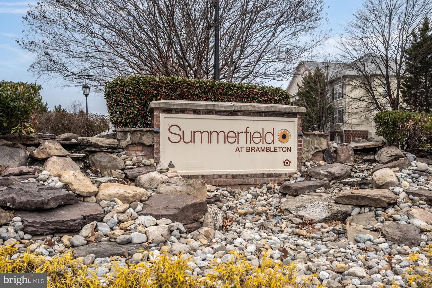 42531 Rockrose Square #302 photo 3