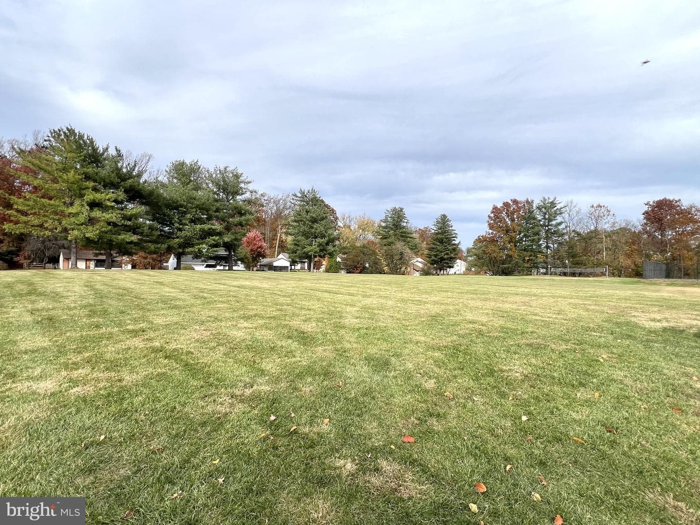 203 Greenfield Court photo 40