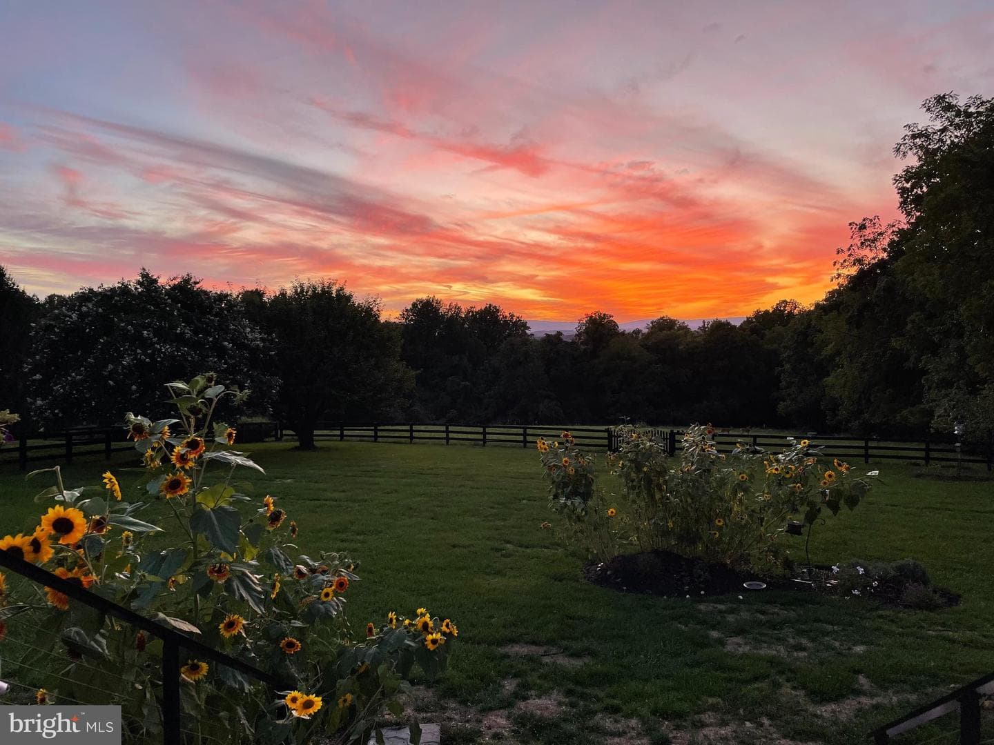 19075 Foxgreen Circle photo 67