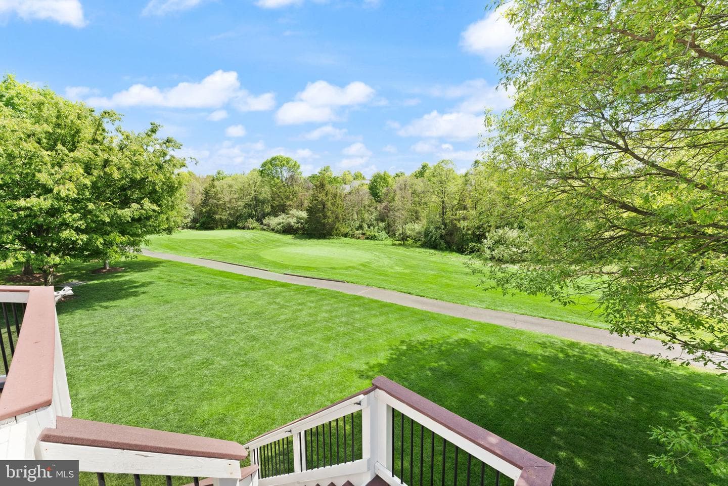 43387 La Belle Place photo 3