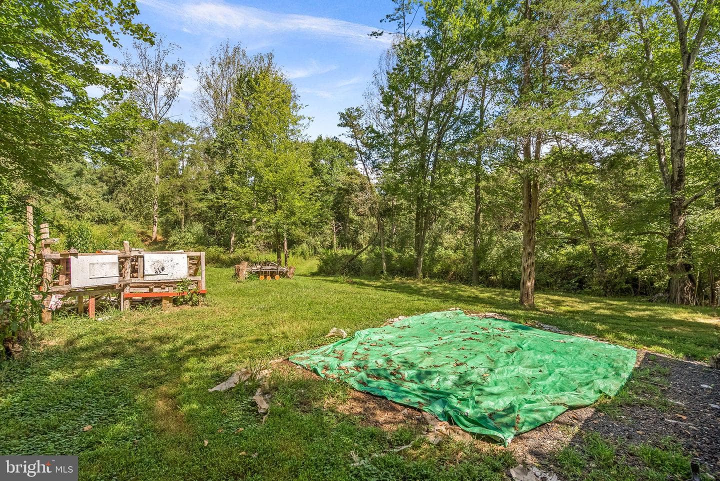 39857 Thomas Mill Road photo 57