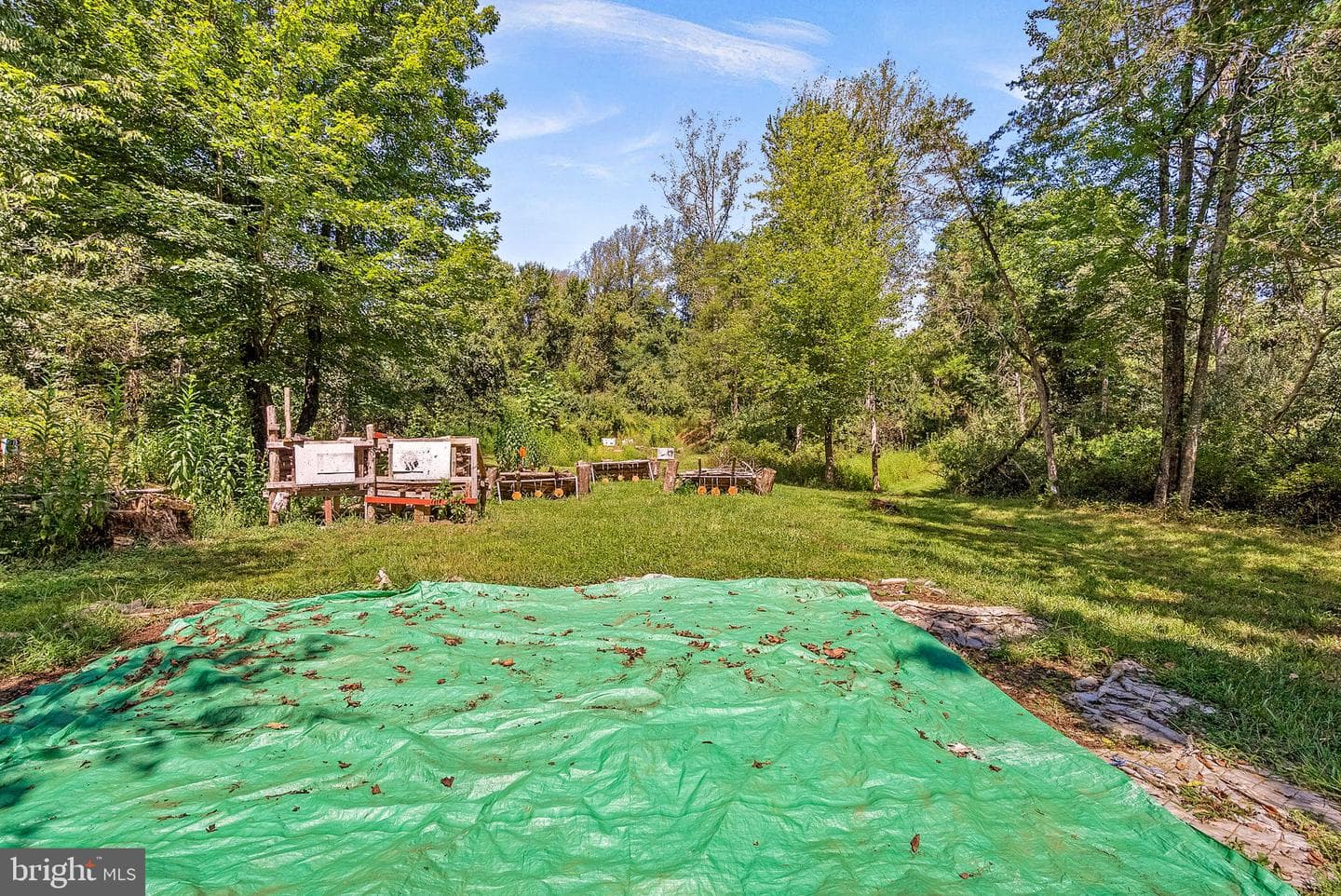 39857 Thomas Mill Road photo 58
