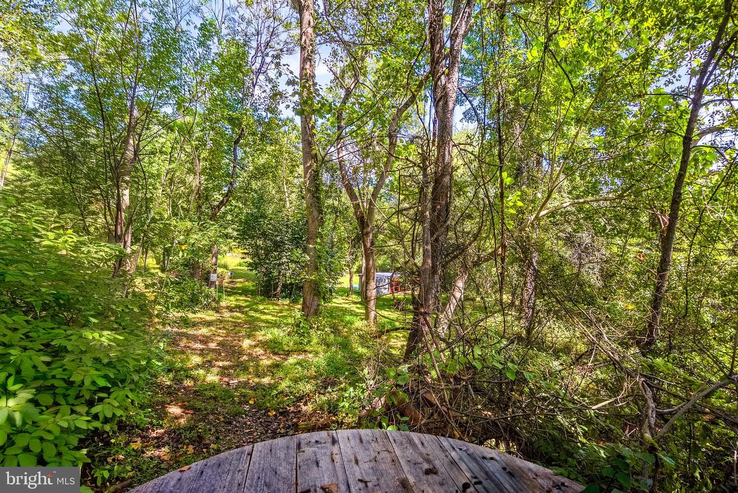39857 Thomas Mill Road photo 60