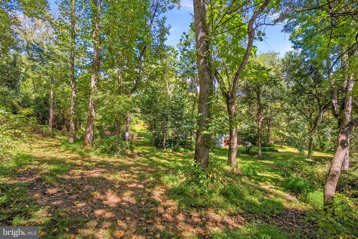 39857 Thomas Mill Road photo 61