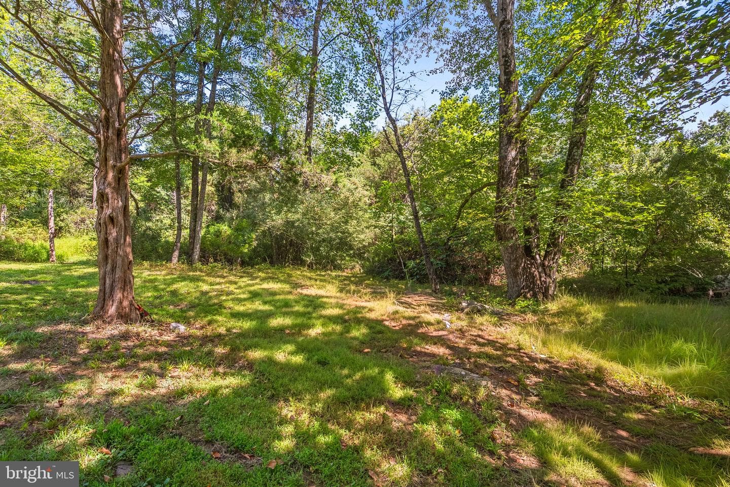39857 Thomas Mill Road photo 63