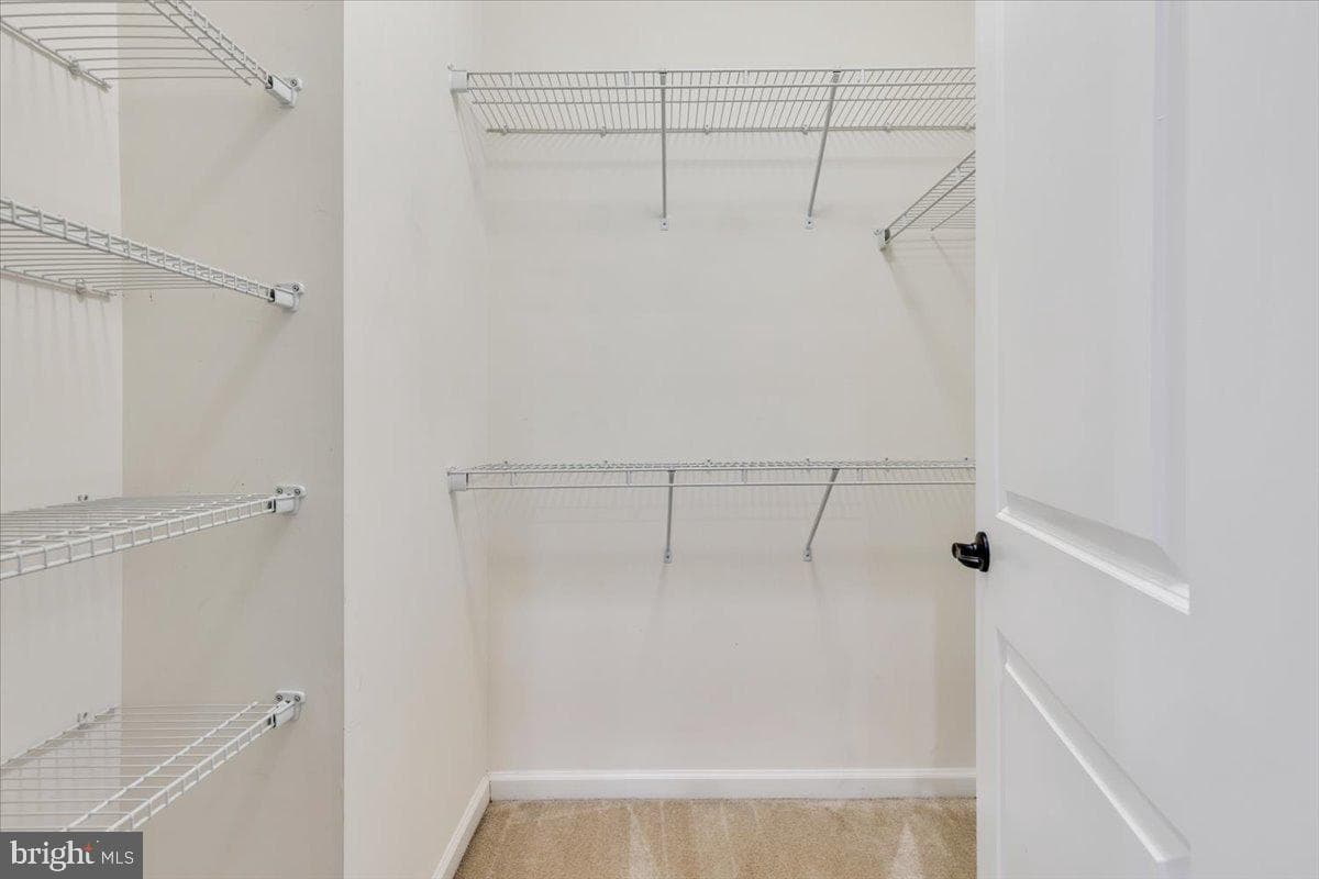 25294 Gray Poplar Terrace photo 24