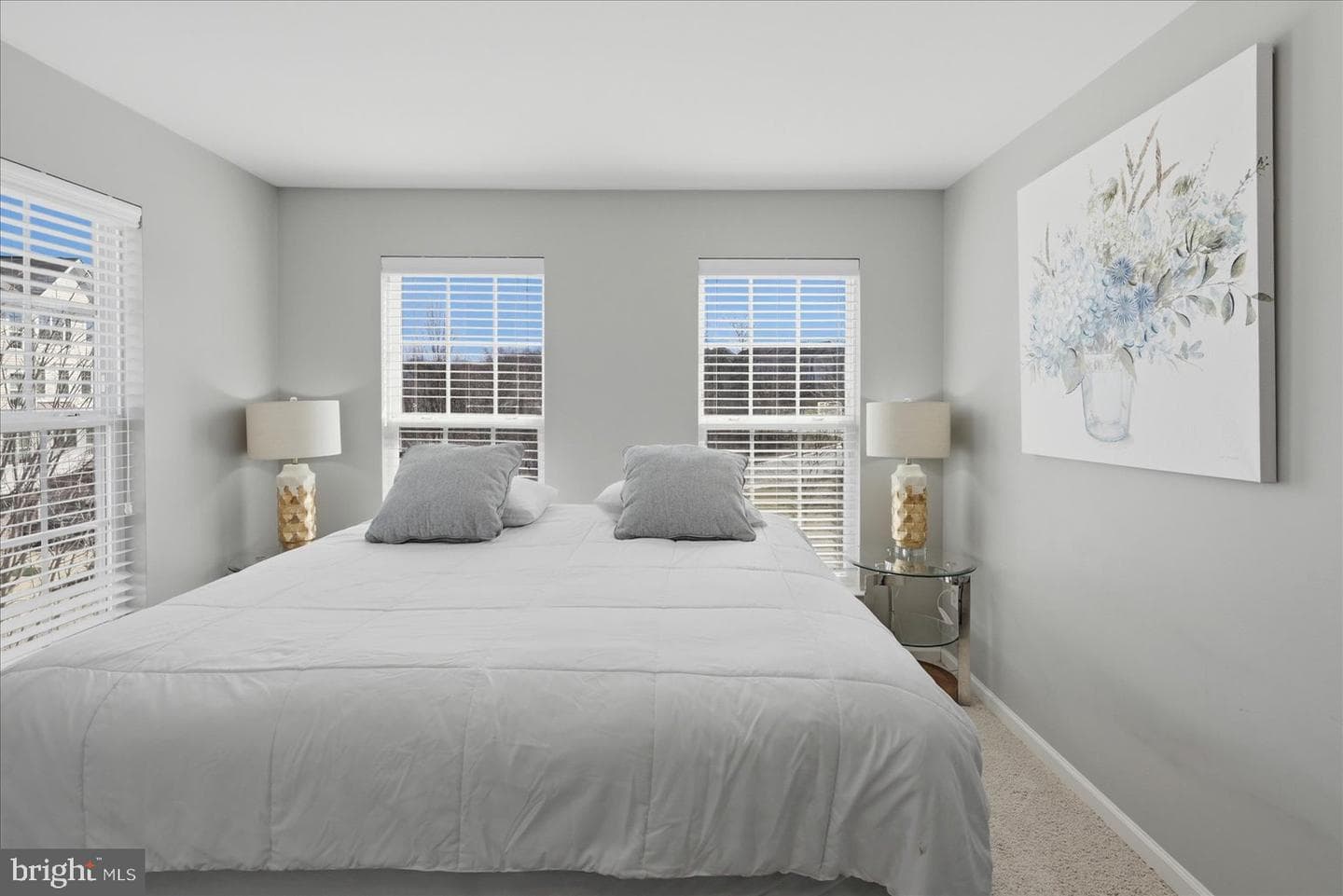 45655 Winding Branch Terrace photo 21