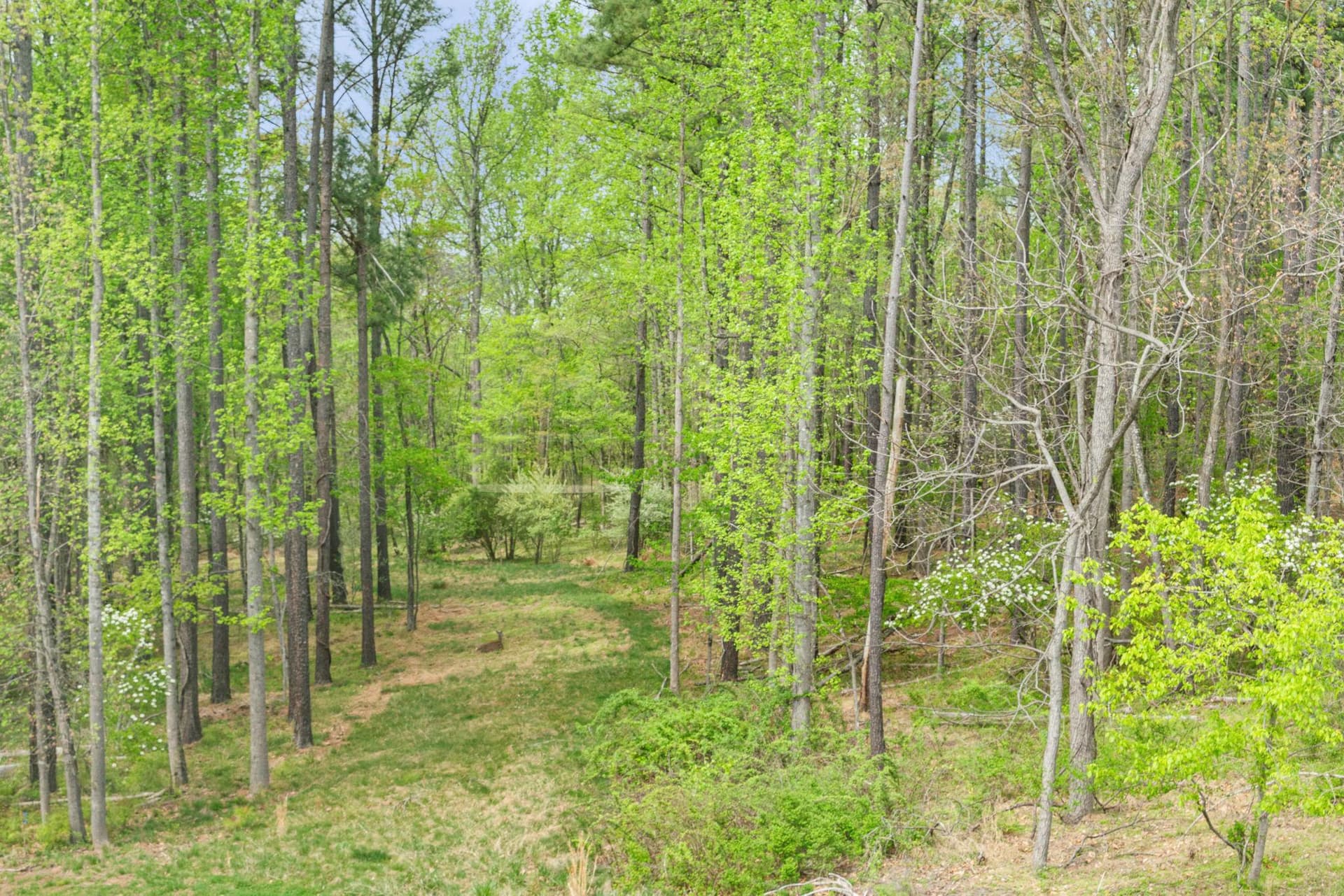 41412 Gentle Wind Place photo 66