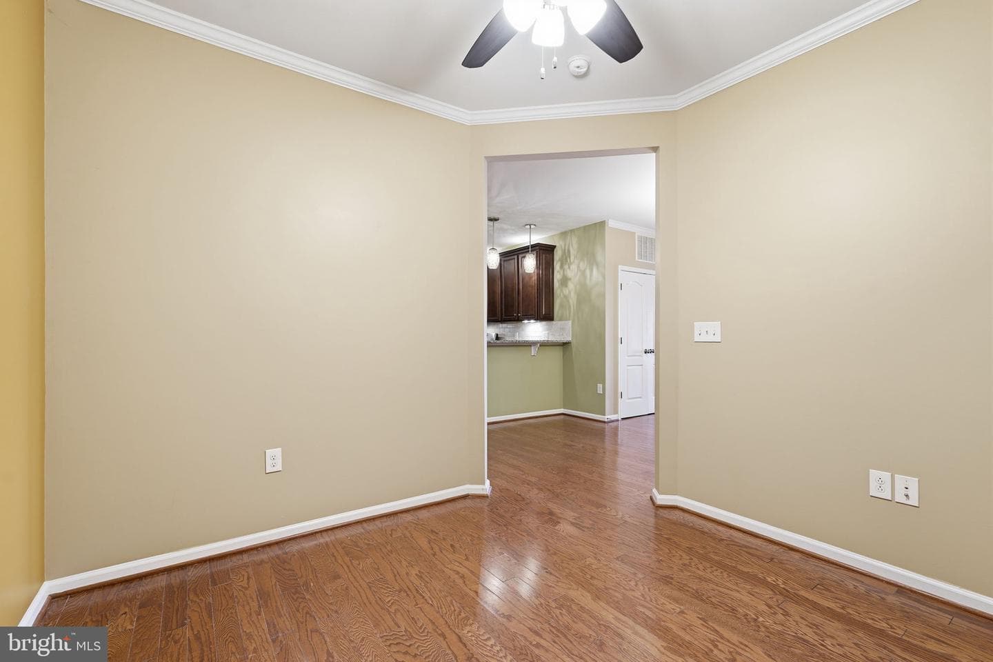 24637 Woolly Mammoth Terrace #205 photo 12