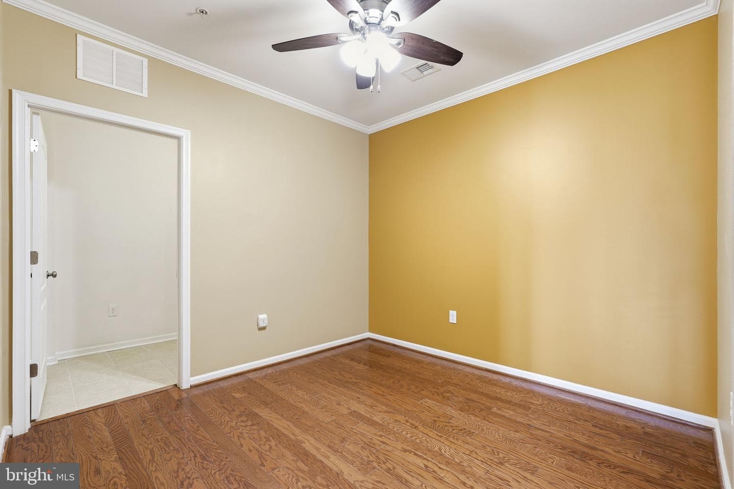 24637 Woolly Mammoth Terrace #205 photo 13