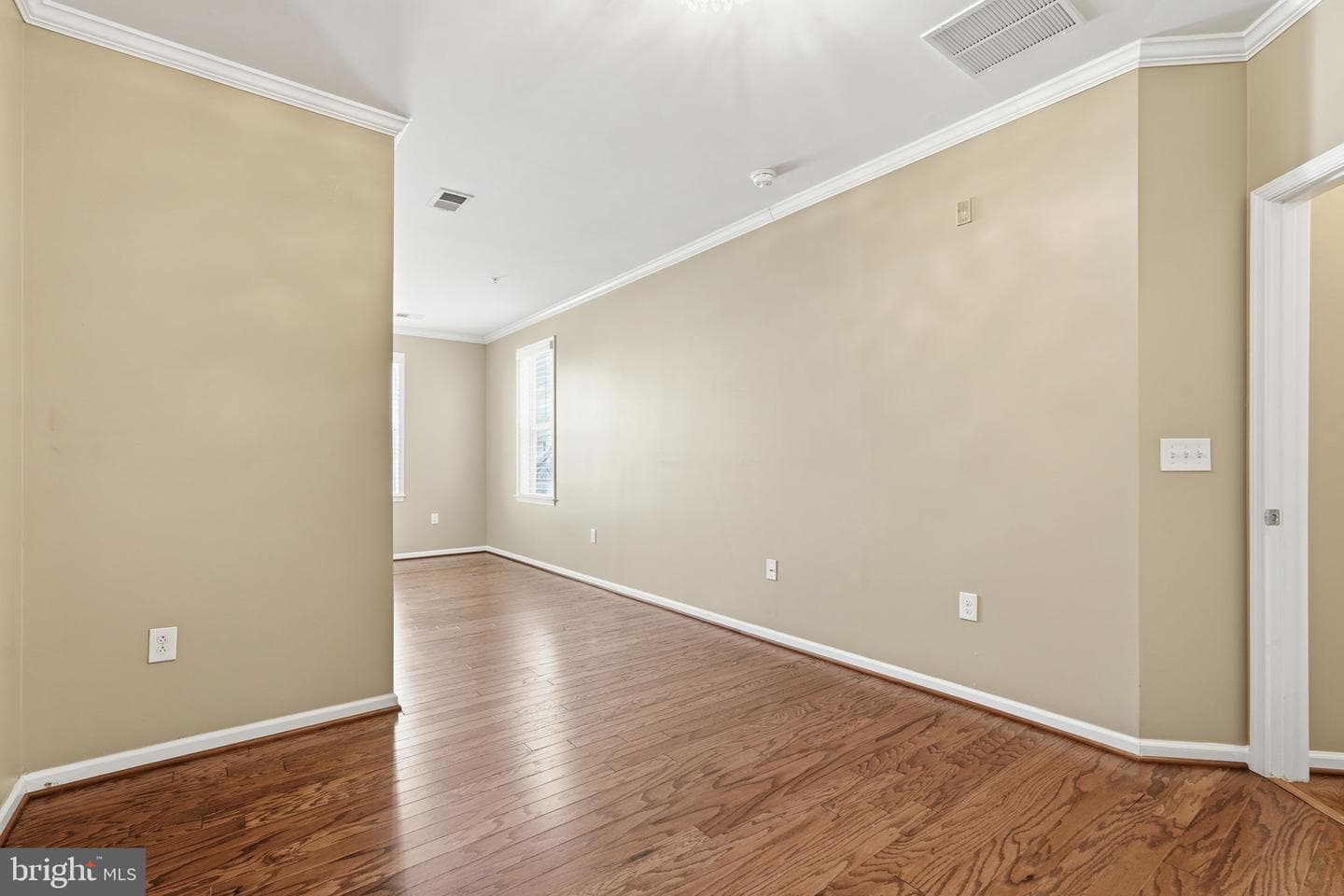 24637 Woolly Mammoth Terrace #205 photo 17