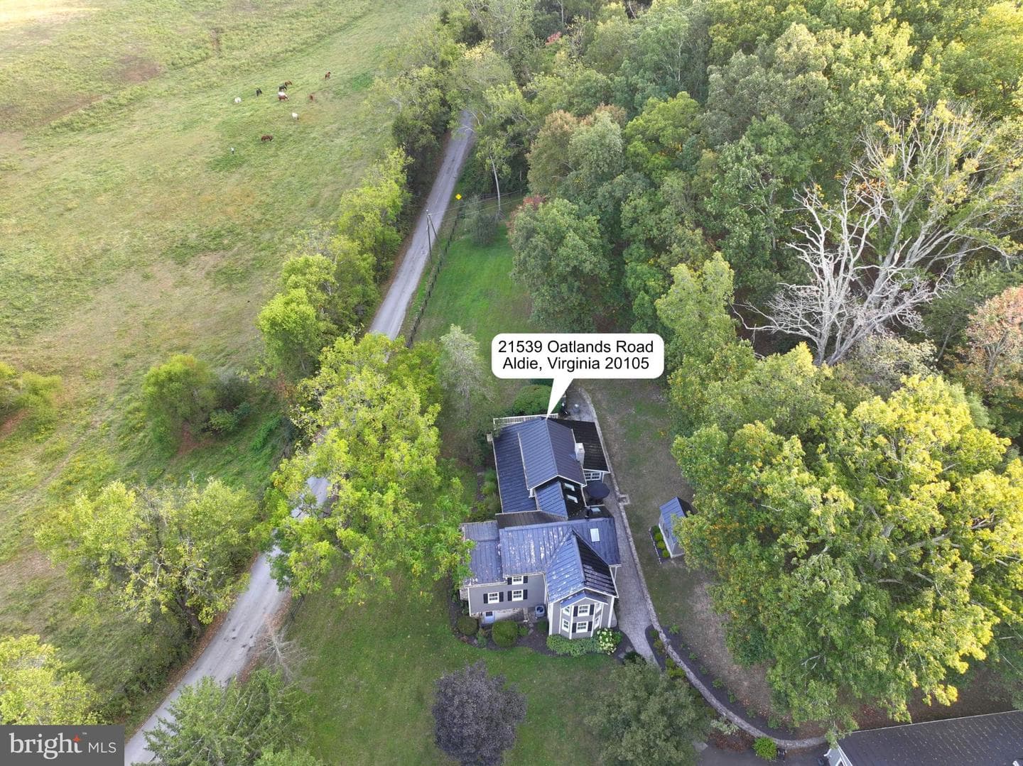 21539 Oatlands Road photo 100