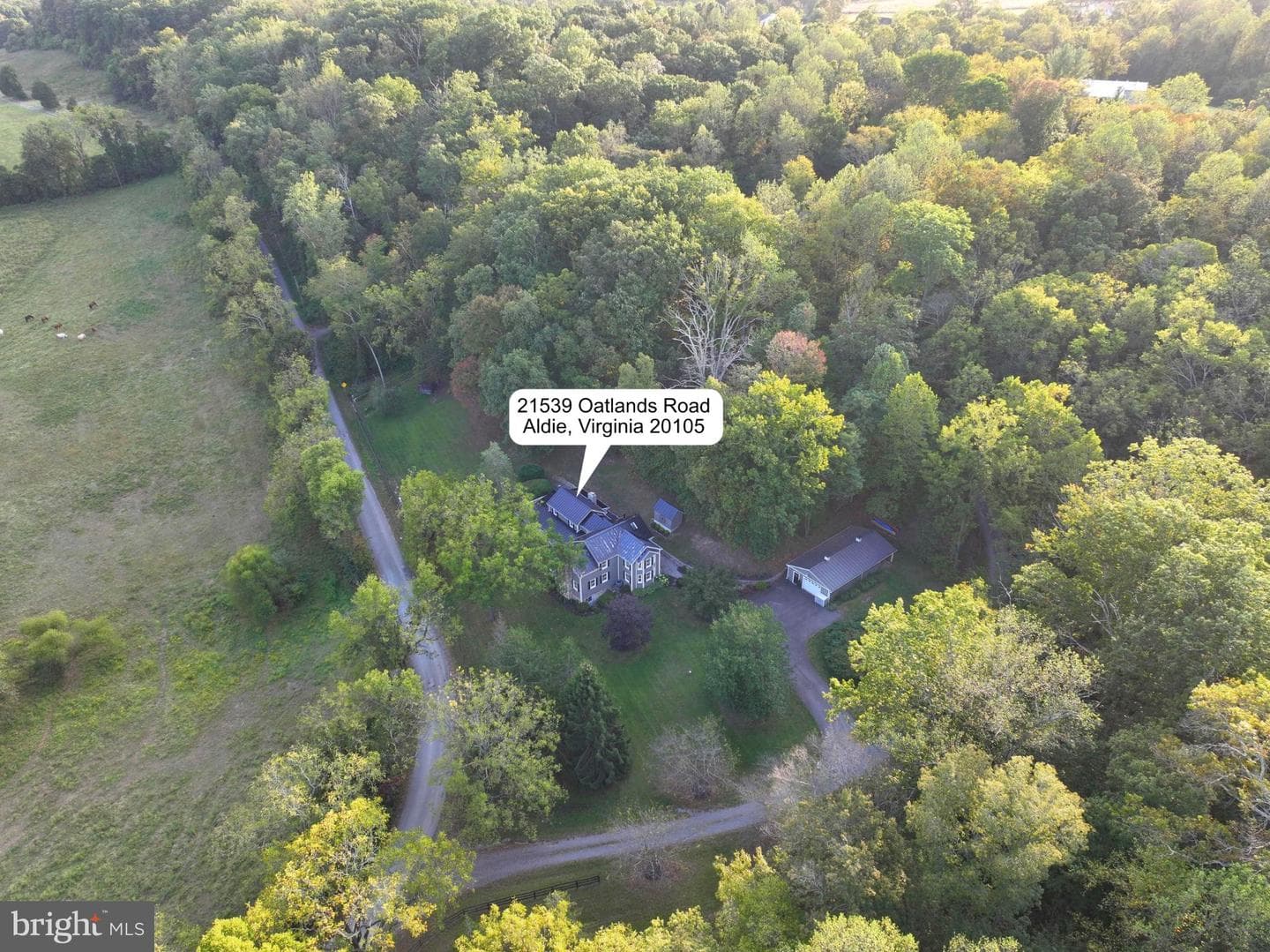 21539 Oatlands Road photo 98