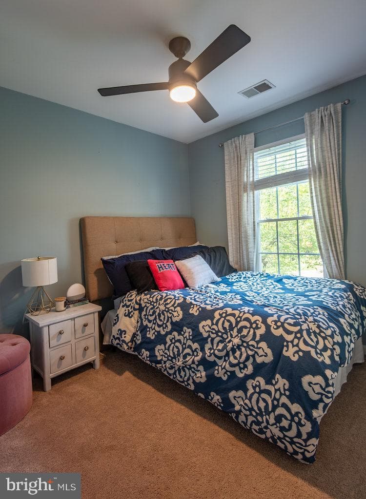 43287 Chokeberry Square photo 18