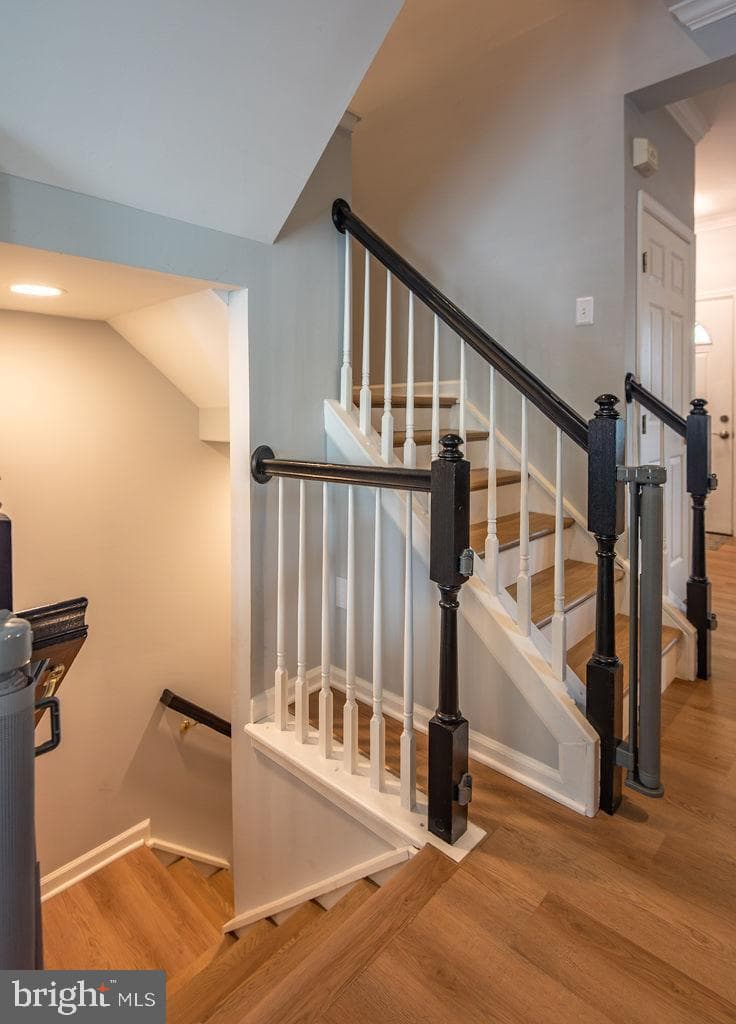 43287 Chokeberry Square photo 33