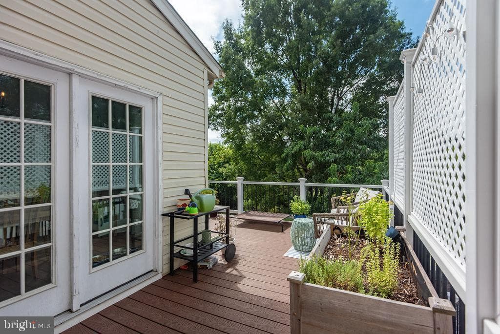 43287 Chokeberry Square photo 54