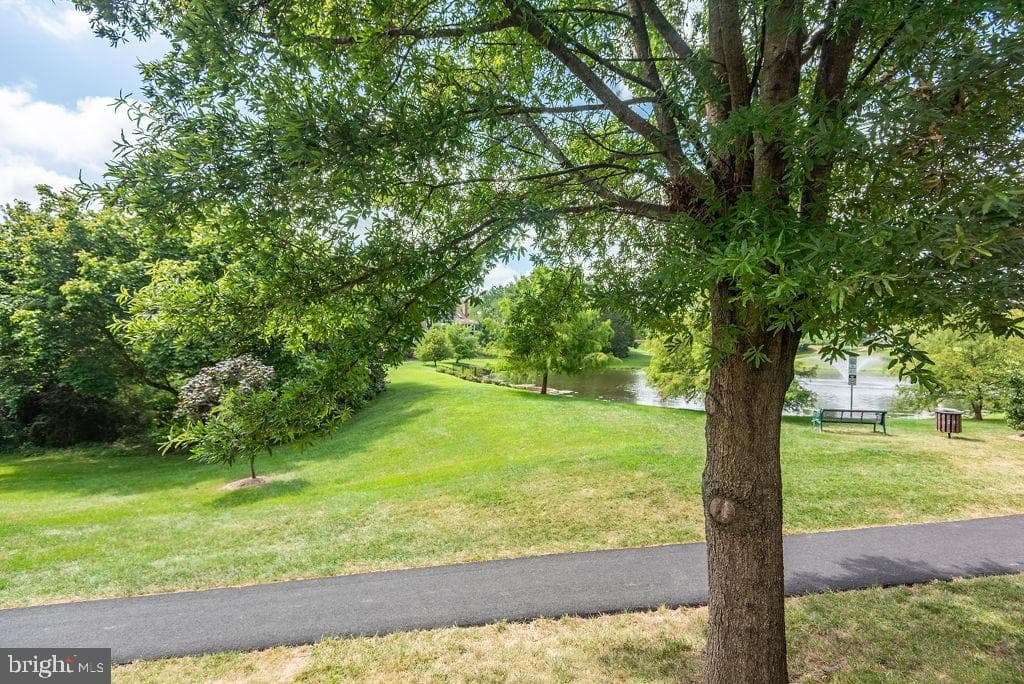 43287 Chokeberry Square photo 59