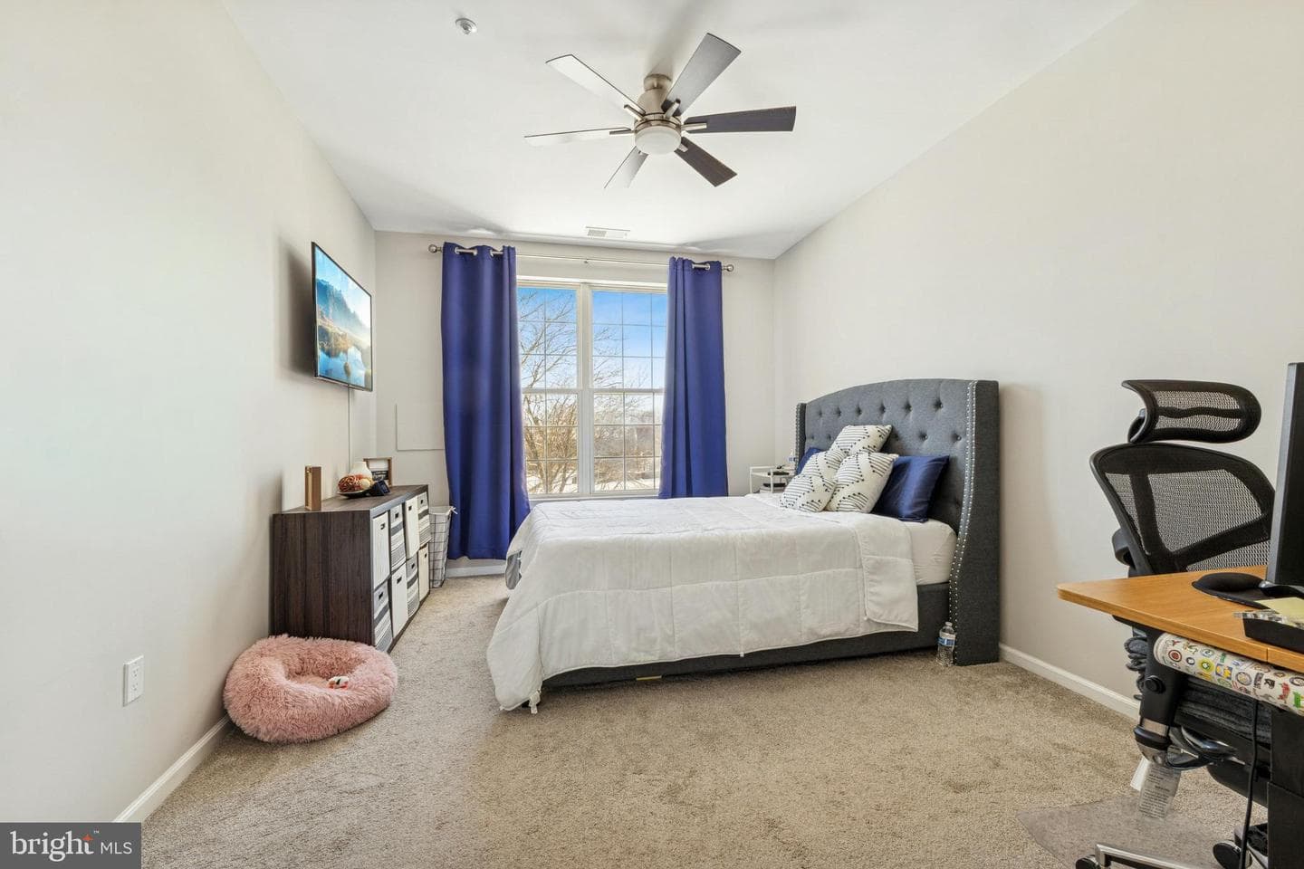 43302 Marymount Terrace #203 photo 13