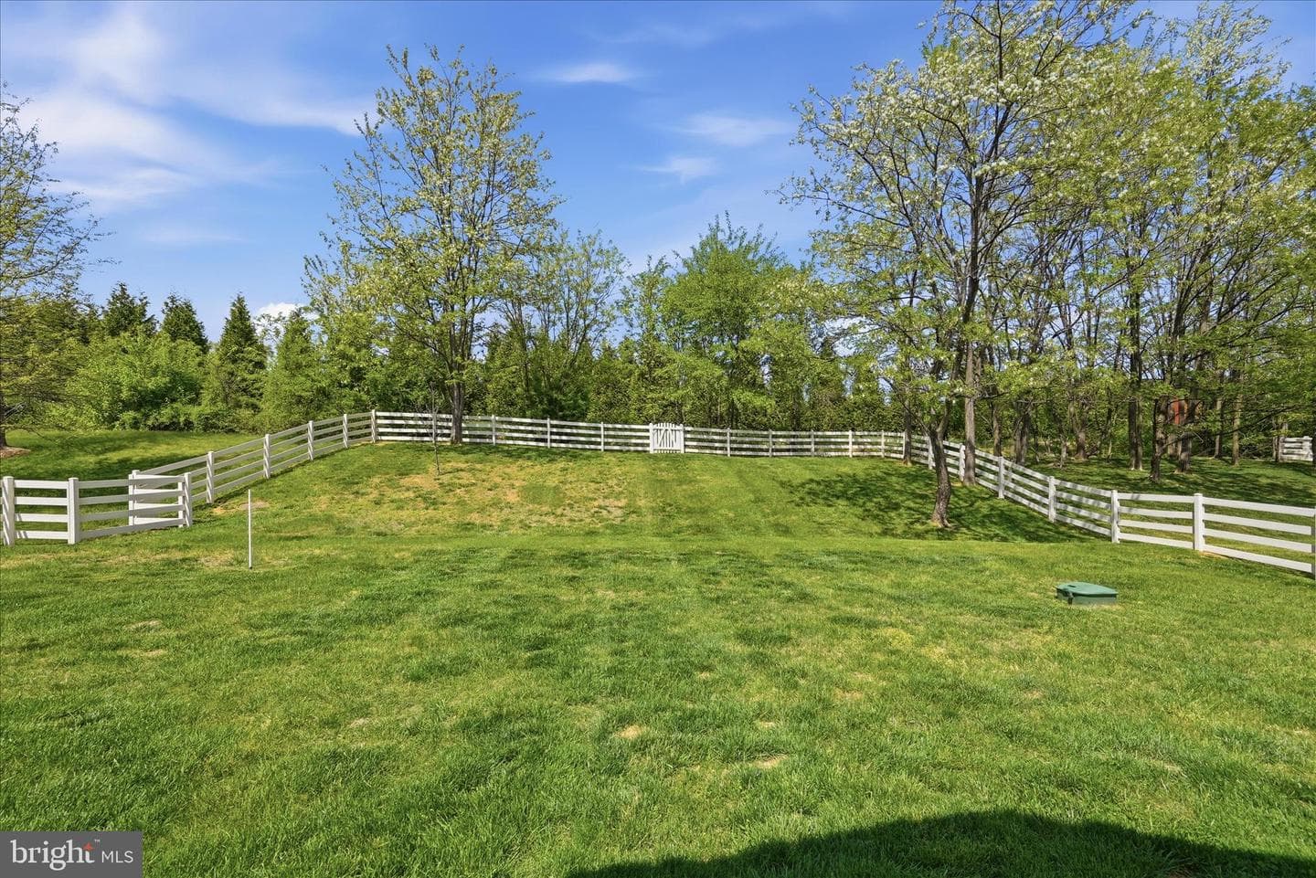 35514 Saint James Drive photo 53