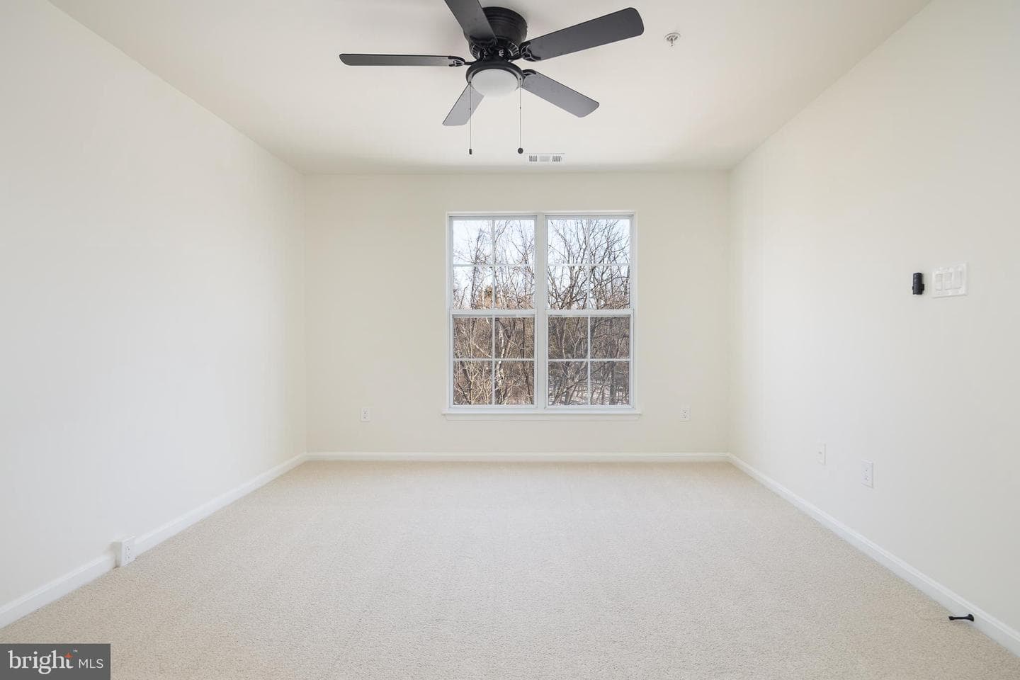 20450 Cool Fern Square photo 18