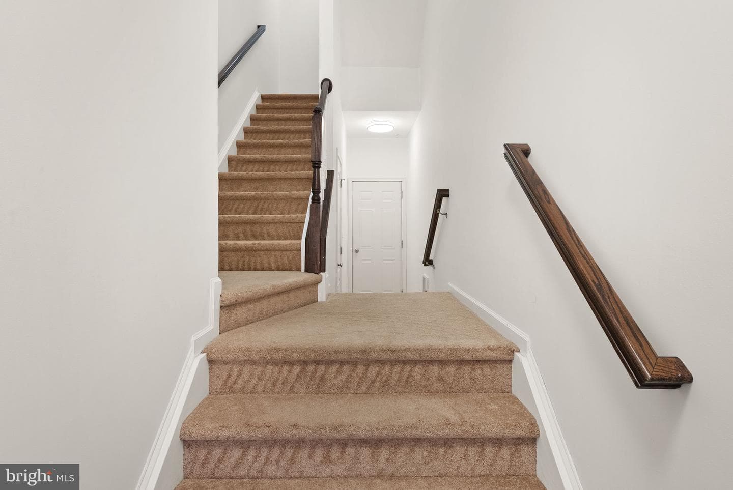 23466 Belvoir Woods Terrace photo 5