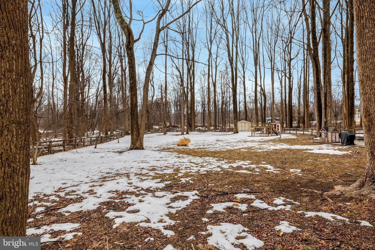 24154 Corktree Lane photo 67
