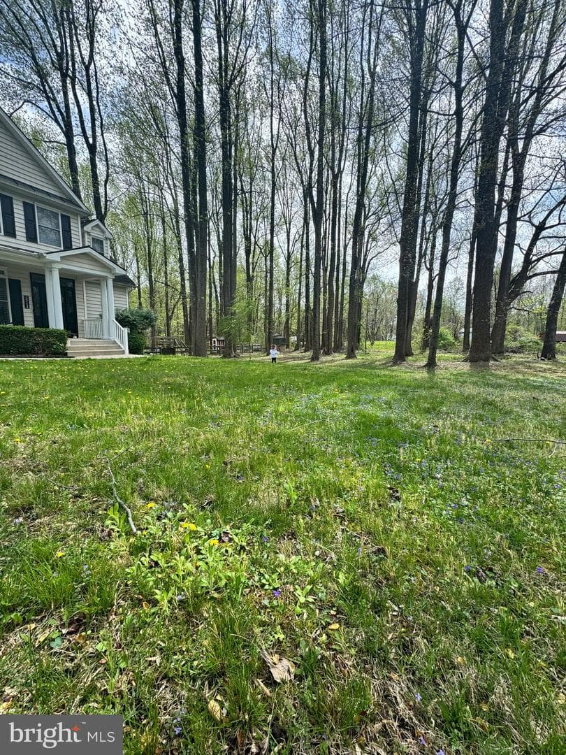 24154 Corktree Lane photo 72