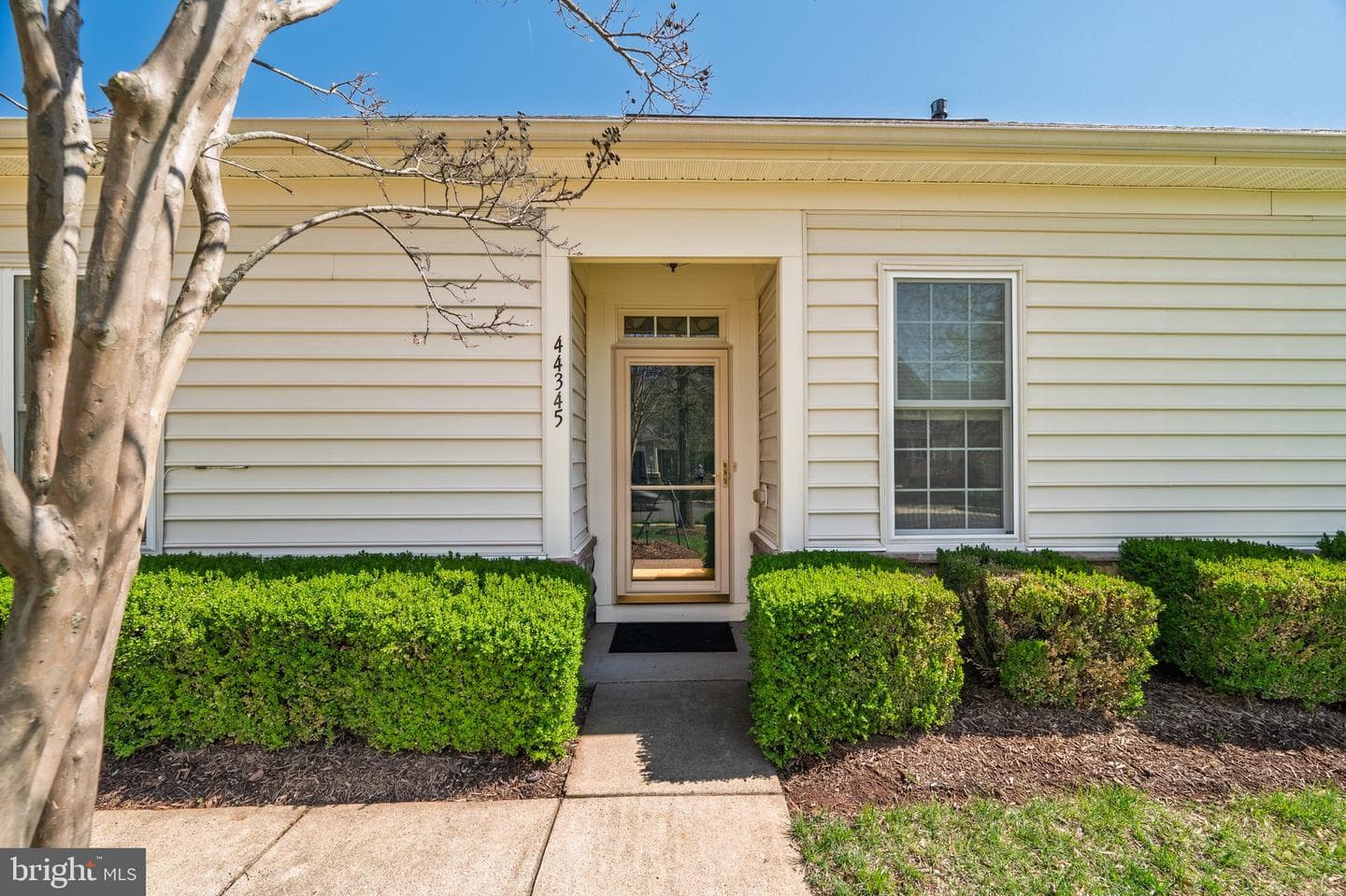 44345 Sunset Maple Drive photo 4