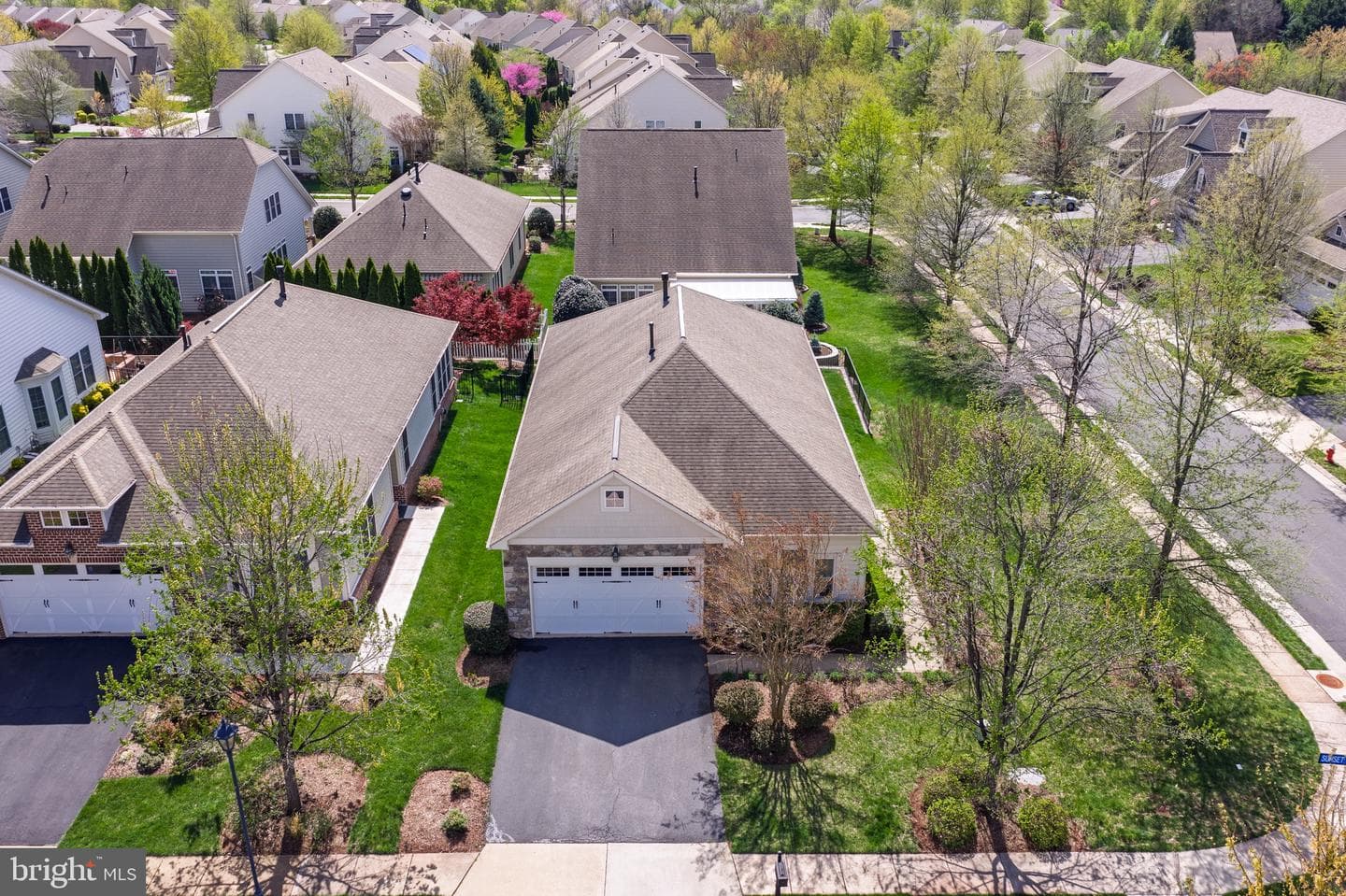 44345 Sunset Maple Drive photo 52