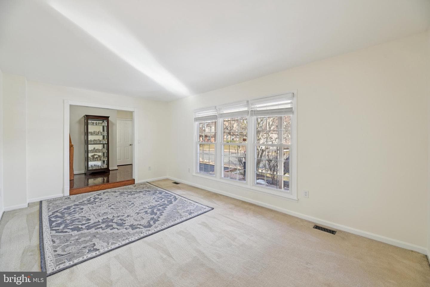 111 Connemara Drive photo 5