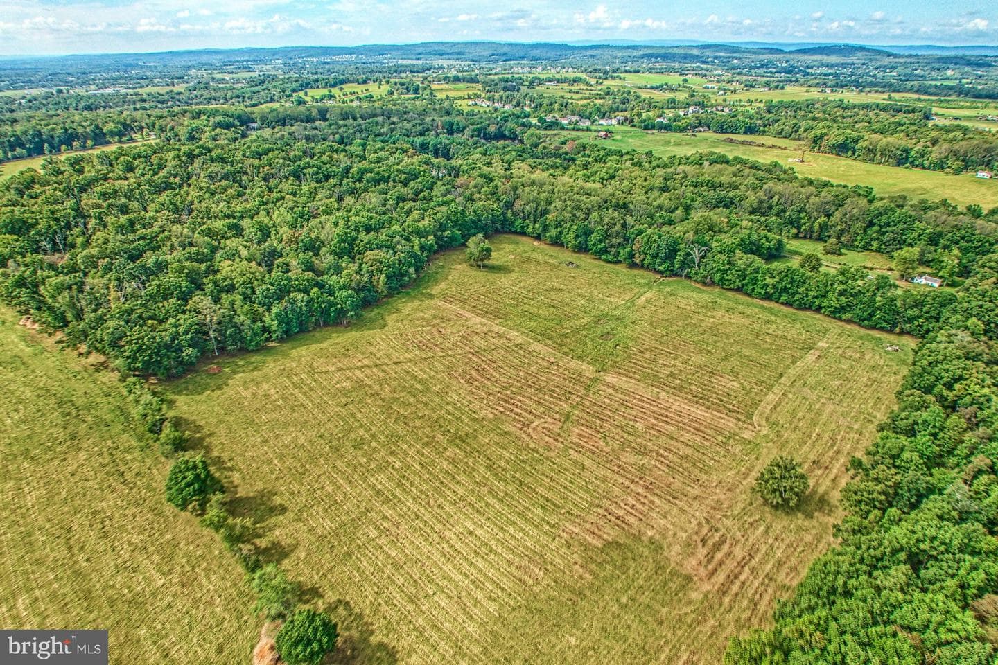 43470 Evans Pond Road photo 101