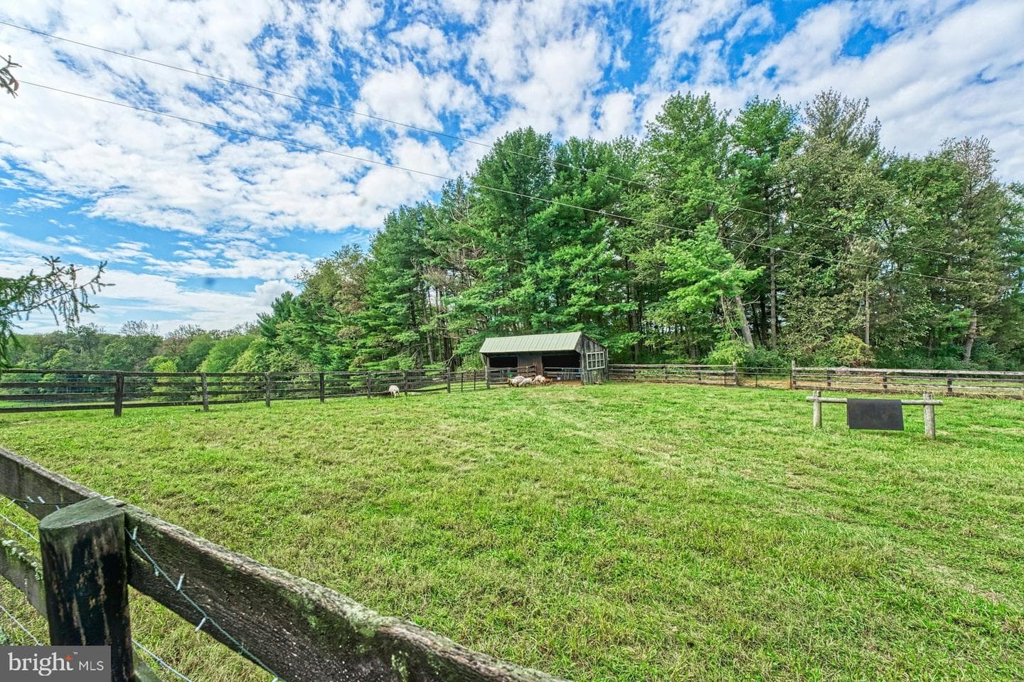 43470 Evans Pond Road photo 83